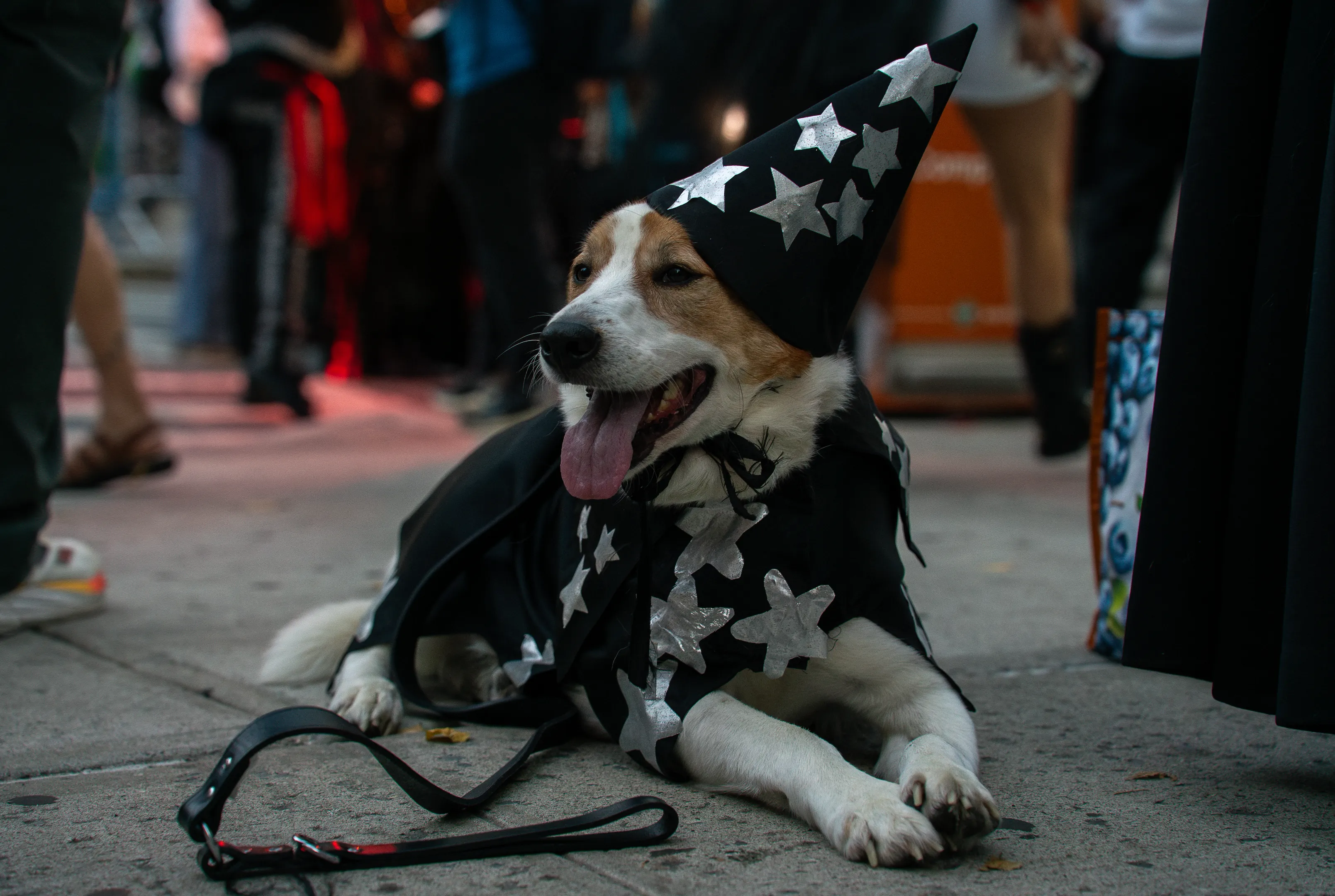 NYC Village Halloween Parade