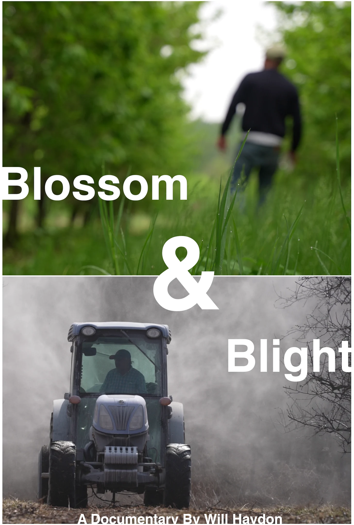 Blossom and Blight poster